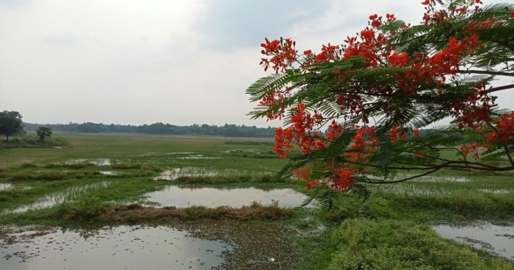  Jatinga, Assam