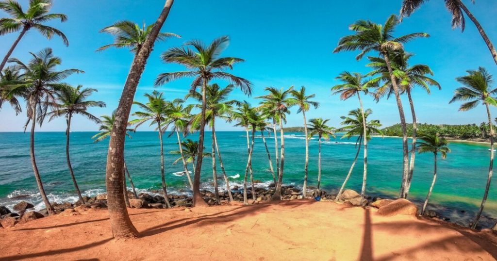 Things to Do in Sri Lanka