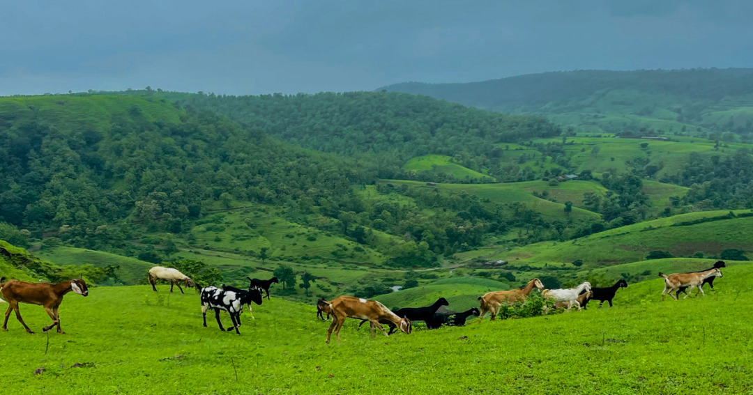 Banswara tourist places