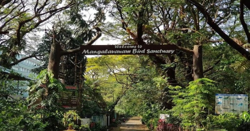 Mangalavanam Bird Sanctuary 