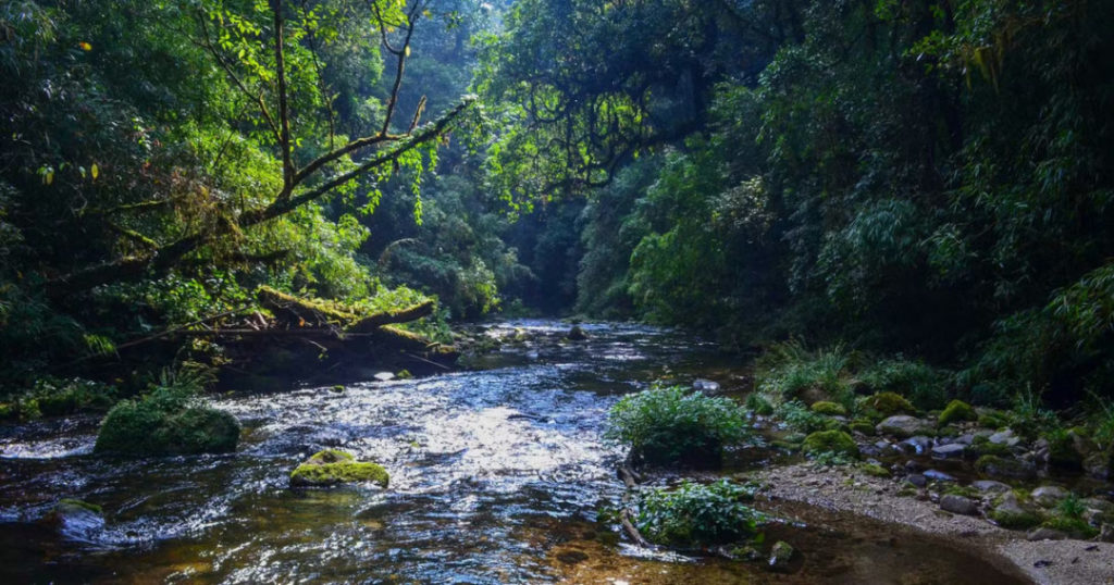 TALLE VALLEY TREK (ARUNACHAL PRADESH)