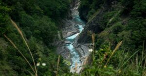 orange festival in dambuk
