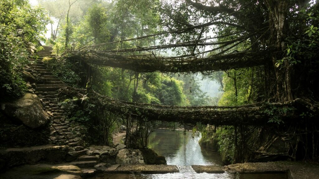 Mawlynnong, Meghalaya