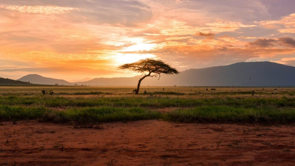 Best countries to visit|Kenya
|Explurger|