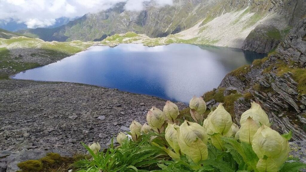 TONS VALLEY, UTTARAKHAND
