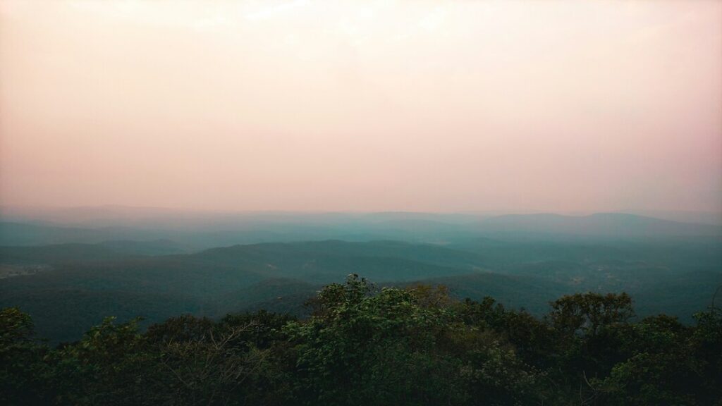 Bhitarkanika & Chandbali, Odisha

