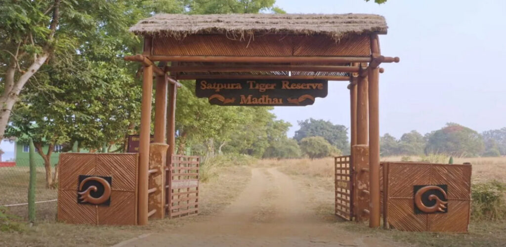 Satpura National Park, Madhya Pradesh