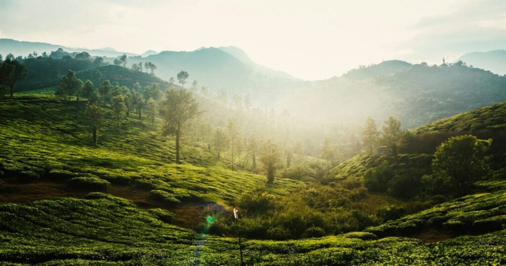 Wayanad- India