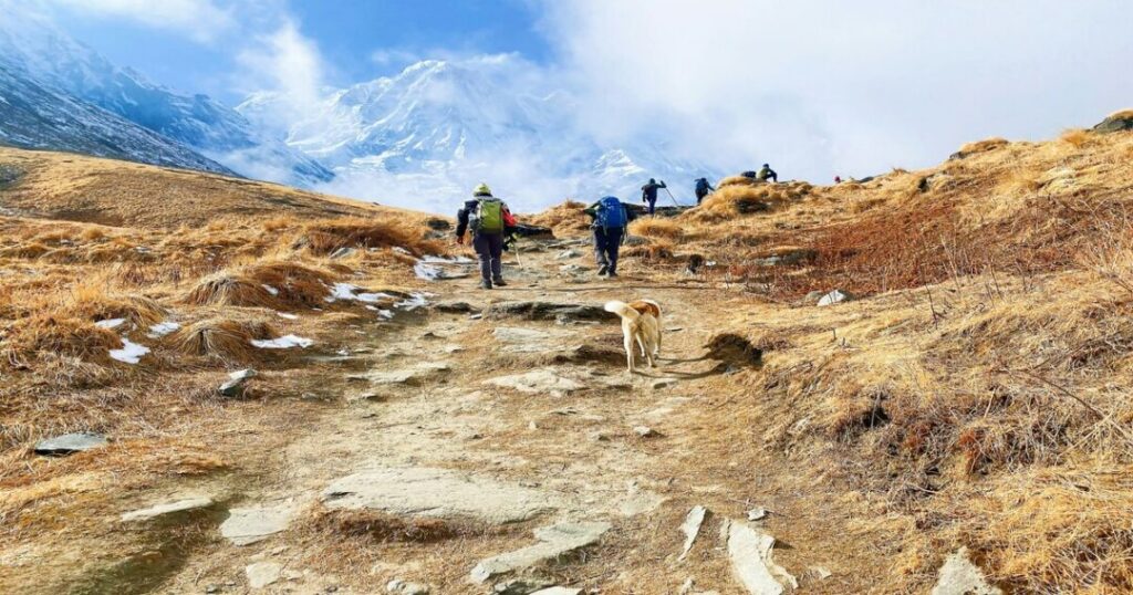 Rupin Pass Trek
