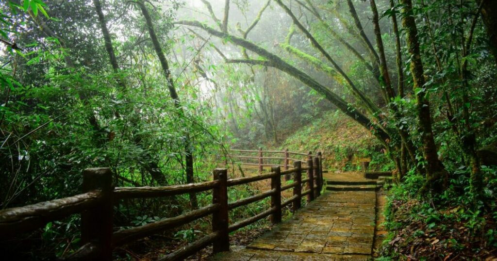  Mawlynnong, Meghalaya
