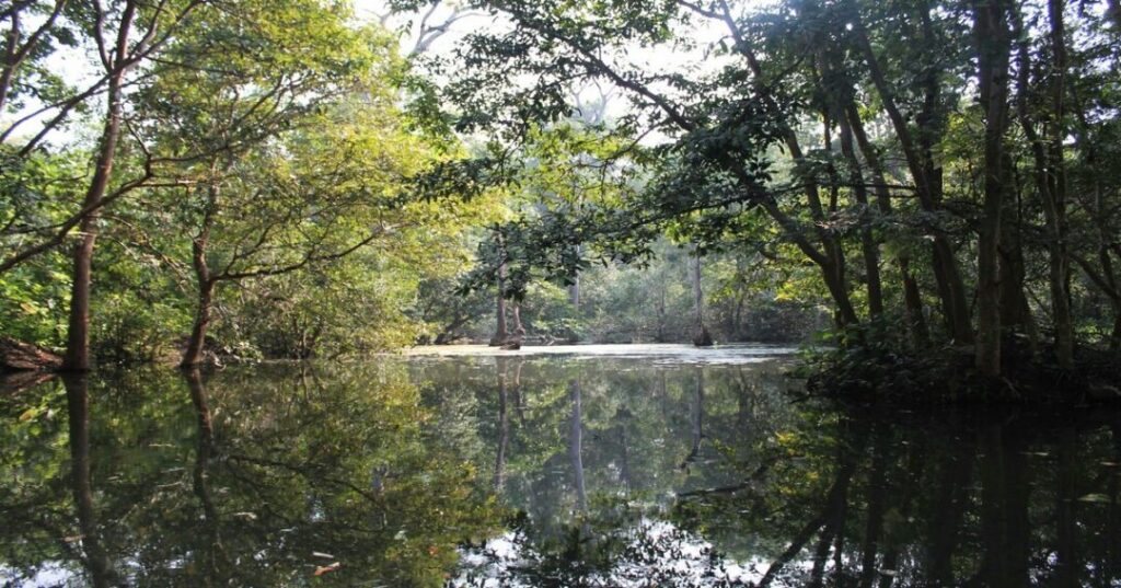 Bhagwan Mahaveer Sanctuary & Mollem National Park