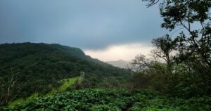 Aadrai Jungle Trek