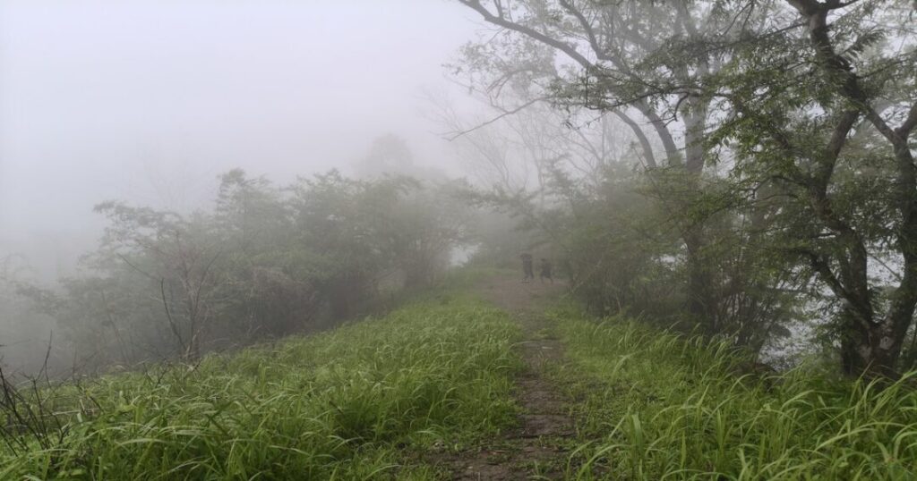 Trekking Through Rain, Forests, and Clouds