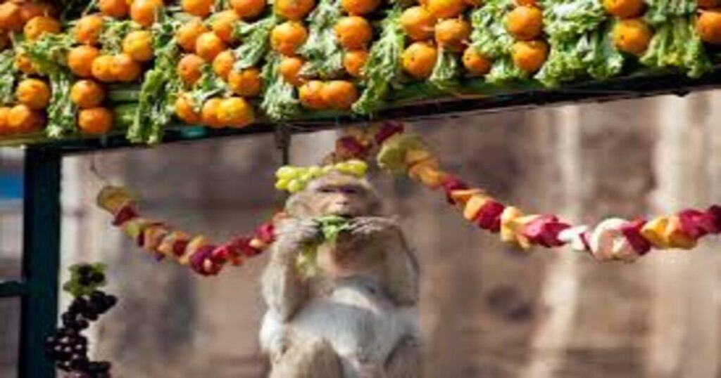 Monkey Buffet Festival Lopburi, Thailand