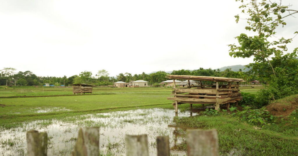 Camping with Locals in Chawmanu