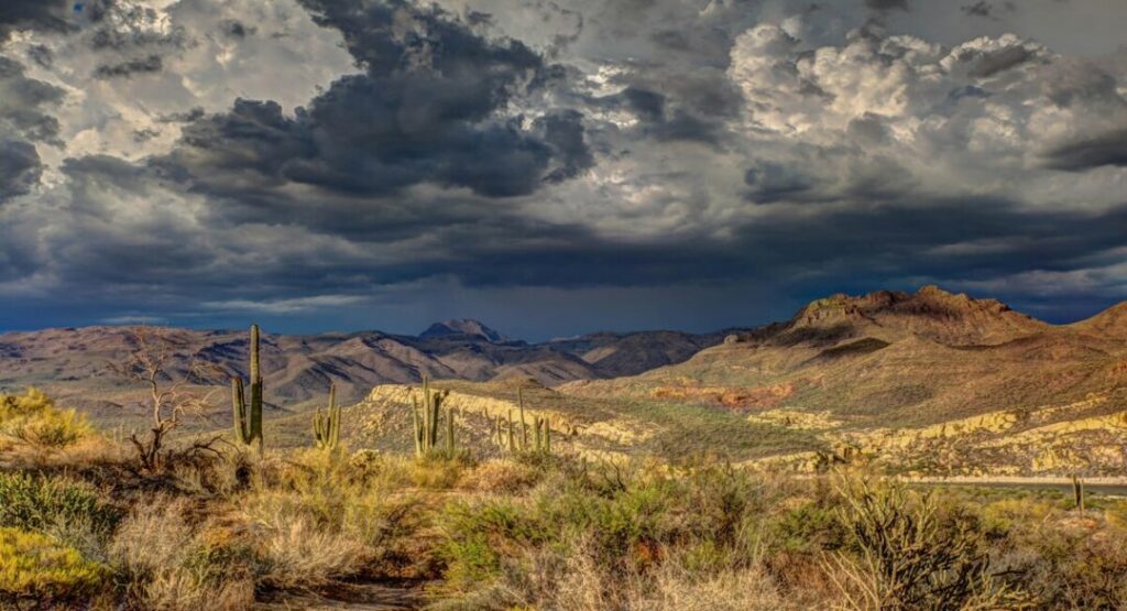 Sonoran Desert — The Most Biodiverse Famous Desert in the World