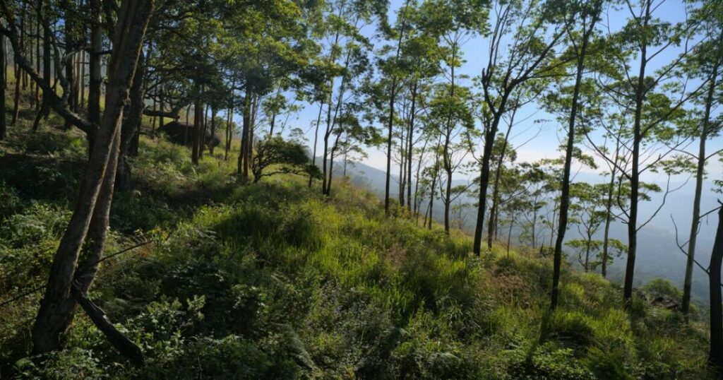 Best Time to Do the Andharban Trek
