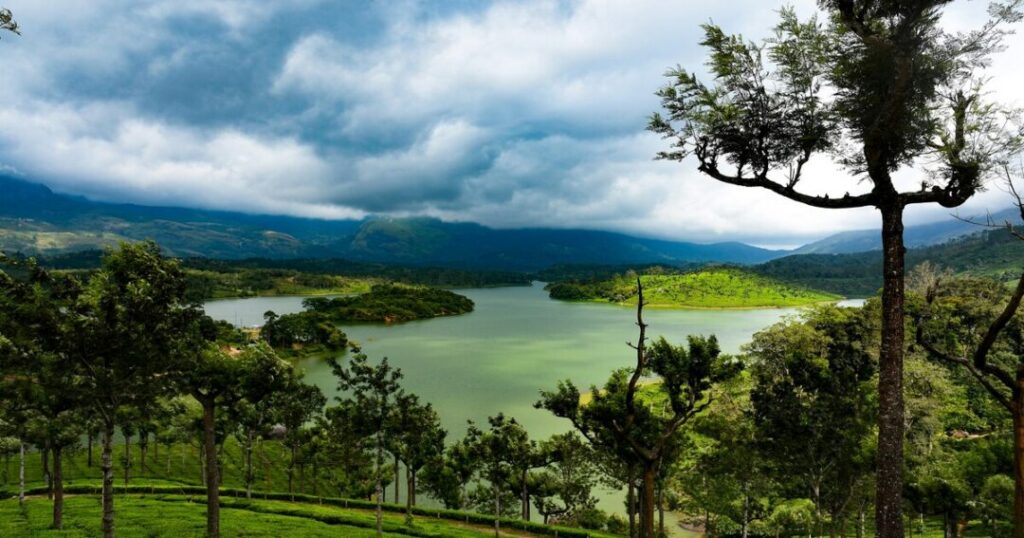 Why Munnar is Perfect for Nature Lovers?