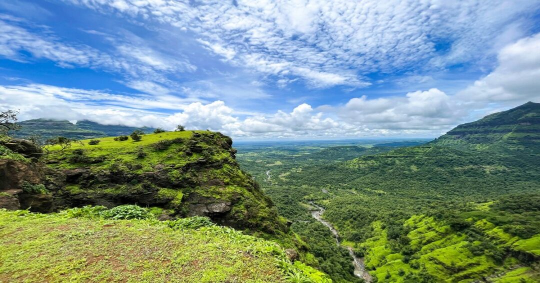 Andharban trek dense forest canopy Western Ghats Maharashtra]