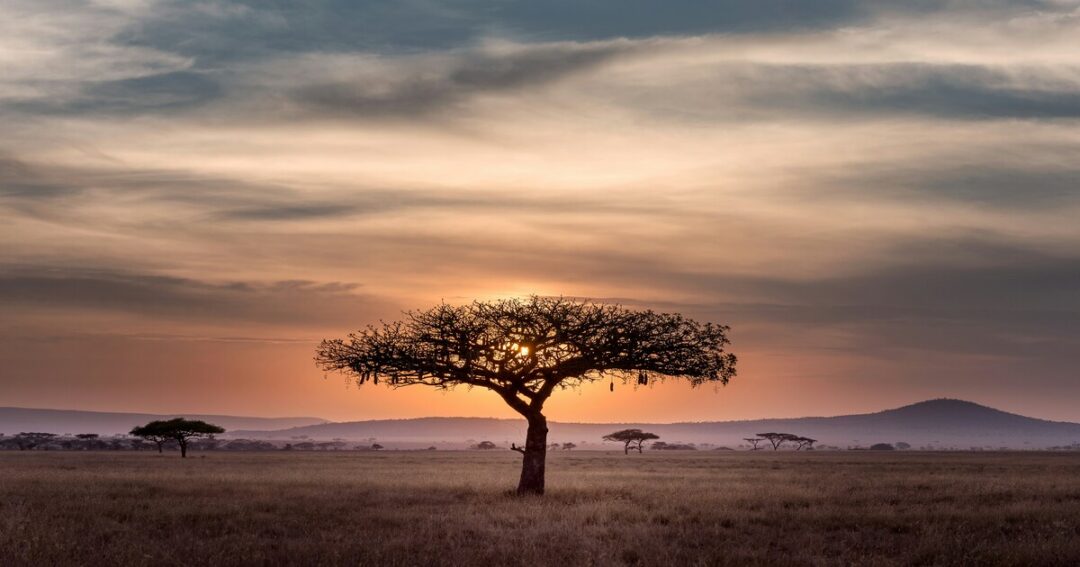 places to visit in Tanzania