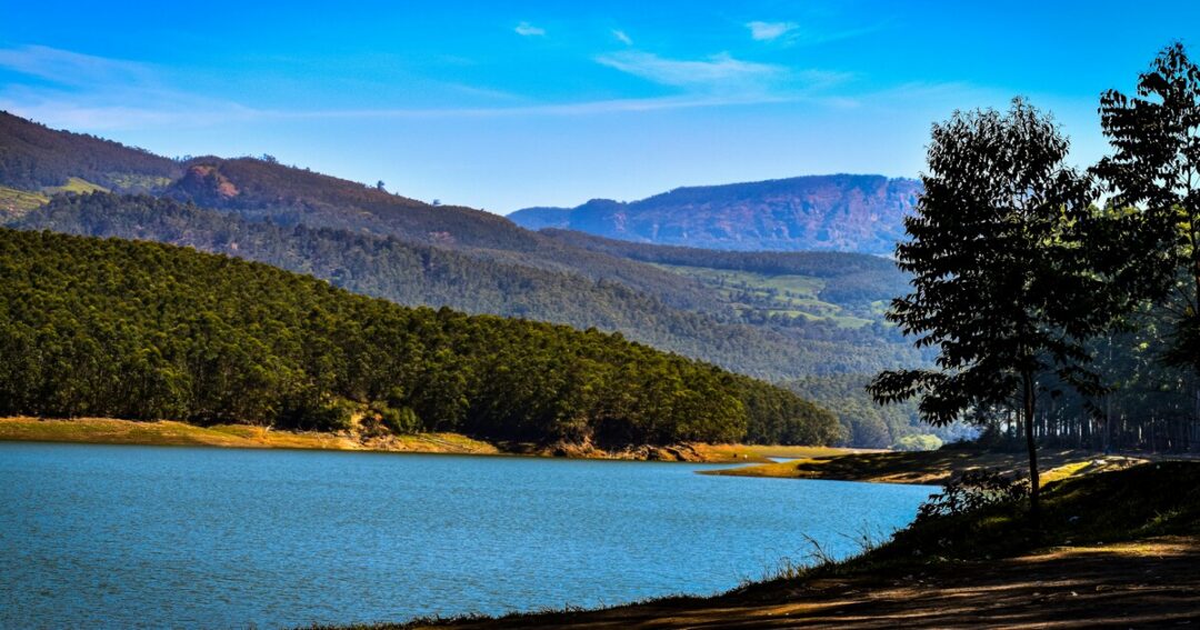 Things to Do in Munnar: Top 10 Experiences for a Scenic Kerala Trip