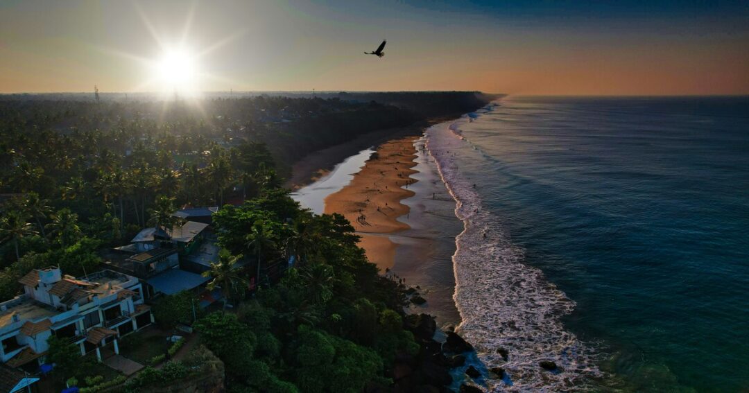 Best Beaches in India: Top 10 Coastal Escapes You Can't Miss
