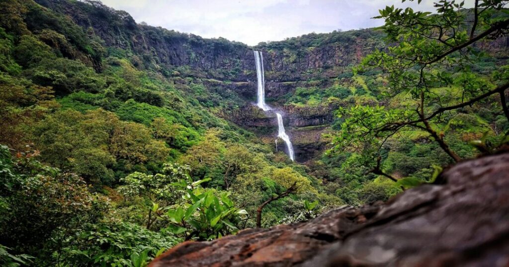  Aadrai Jungle Trek