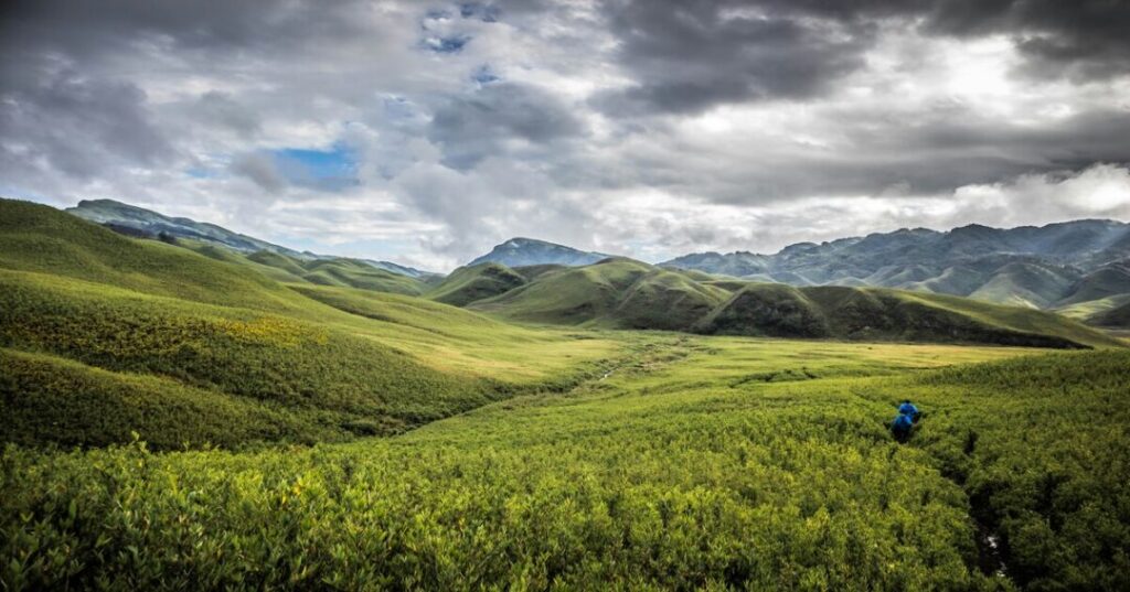 Dzükou Valley 