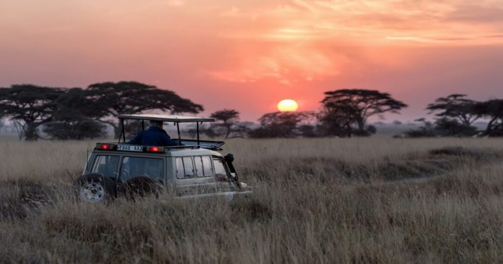 Why Tanzania Will Stay With You Long After the Trip Ends