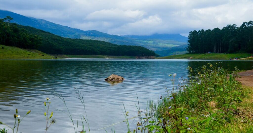 Top Things to Do in Munnar in 2026