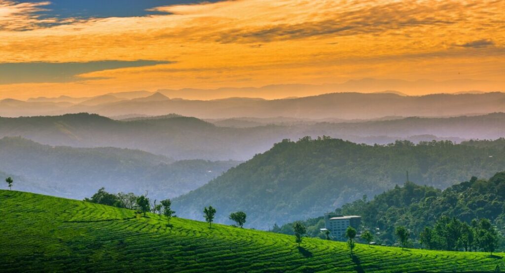 What to Be Cautious About During Kerala in Monsoon