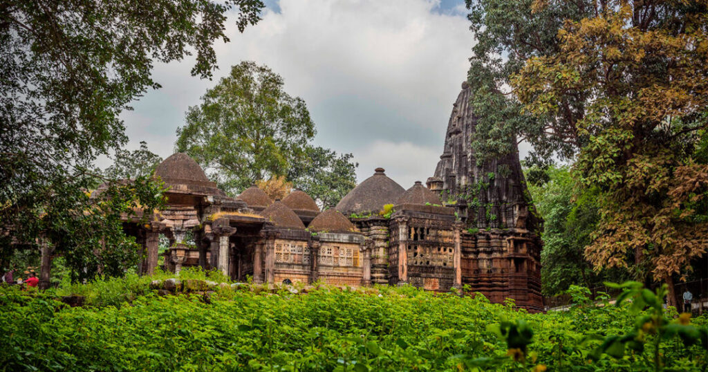 Polo Forest