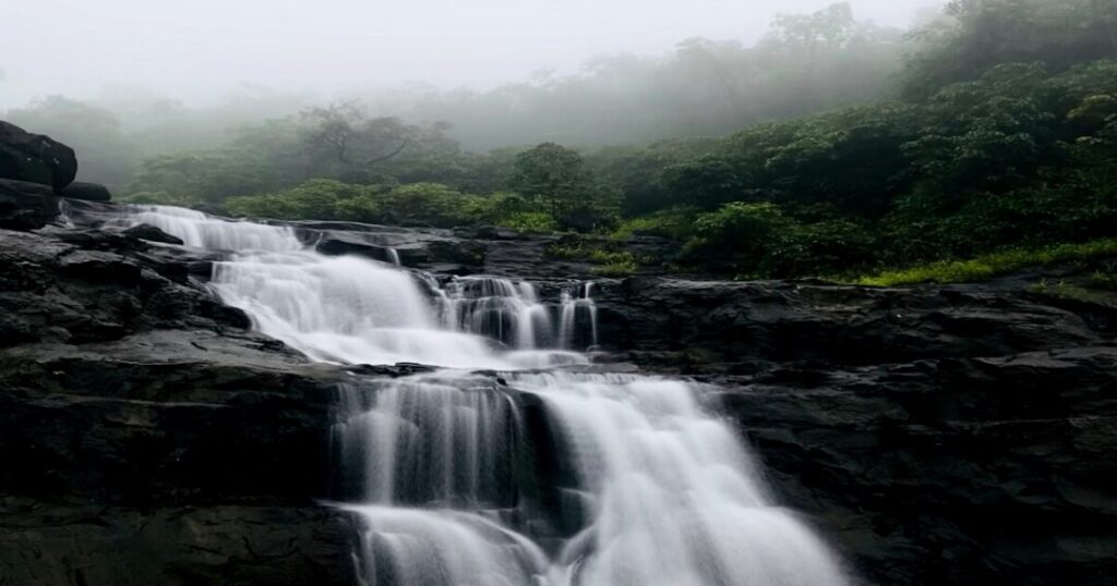 Best Time to Visit the Aadrai Jungle Trek