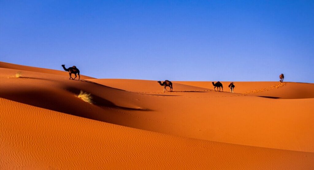 Sahara Desert — The Most Famous Desert in the World
