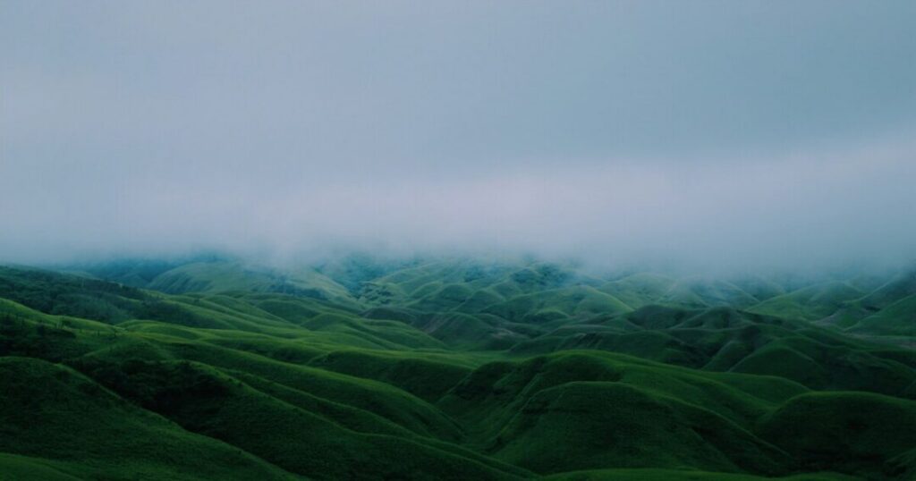 Dzukou Valley Trek Itinerary — Day by Day