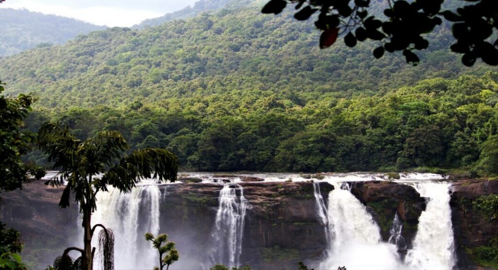 Best Time to Experience Kerala in Monsoon
