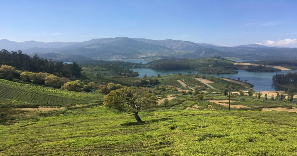 Things to Do in Ooty — Complete Activity List