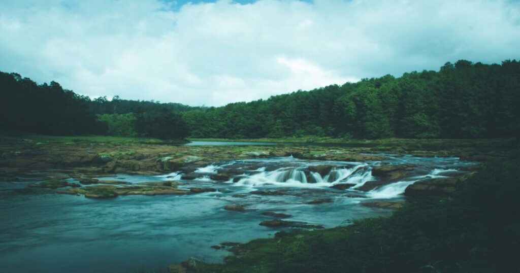 What is the Best Time to Visit Ooty?