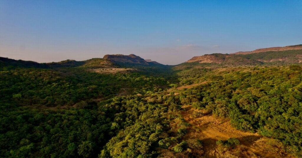 Homestays at Patnus / Pimpri Village