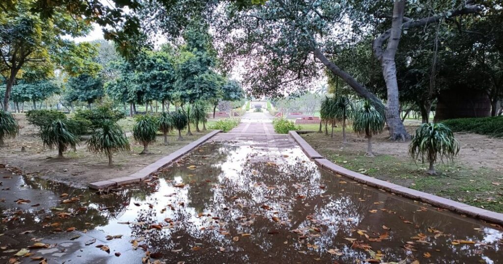 Delhi Monsoon