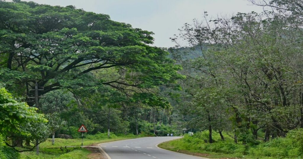 Coorg Attractions Places Most Blogs Miss