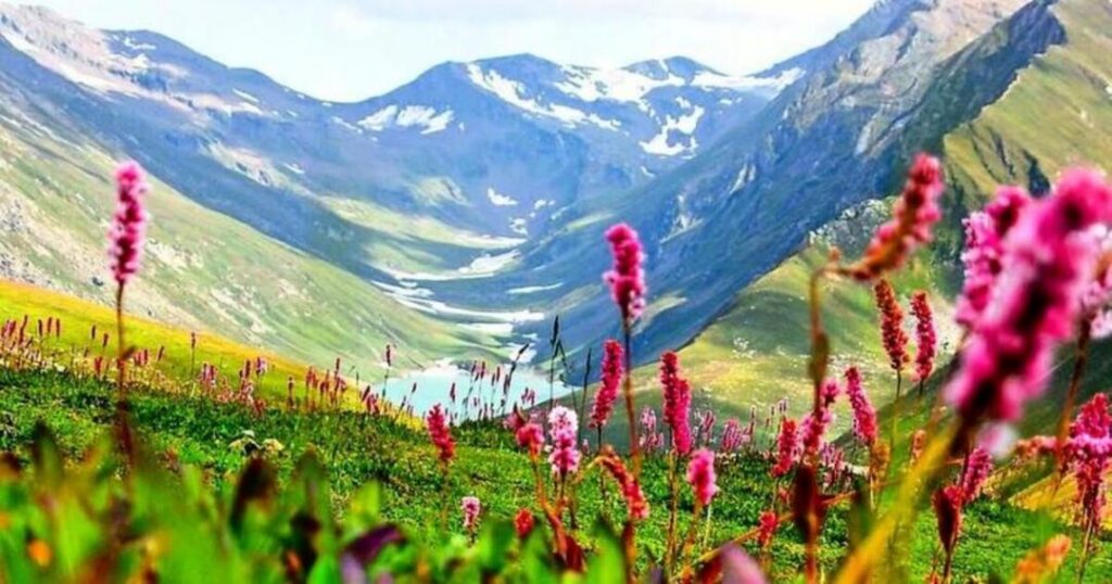 Why The Valley of Flowers Trek Is So Special?