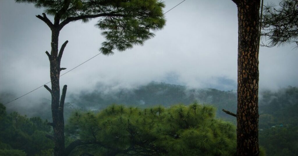 Why Almora Is Worth Visiting?