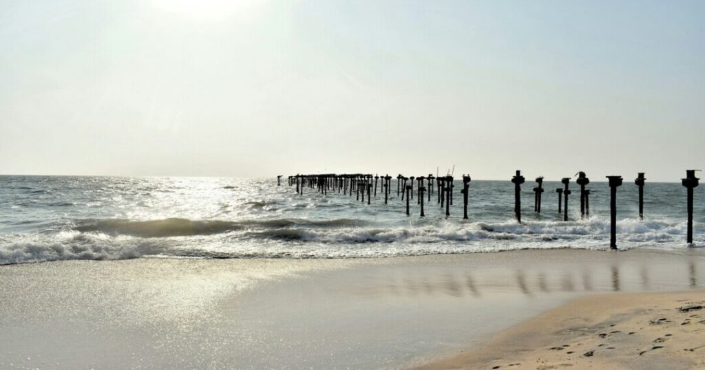Places to Visit in Alleppey
