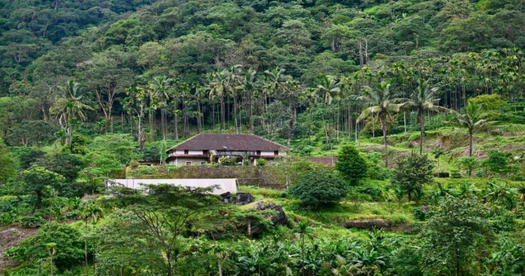 Best Season to Visit Coorg 