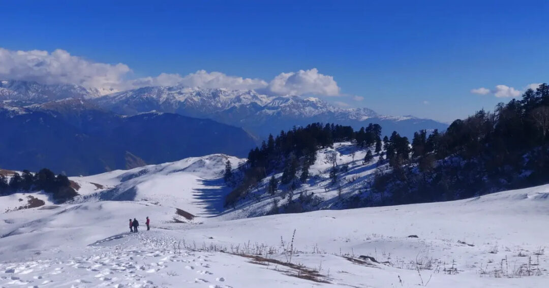 Dayara Bugyal Trek