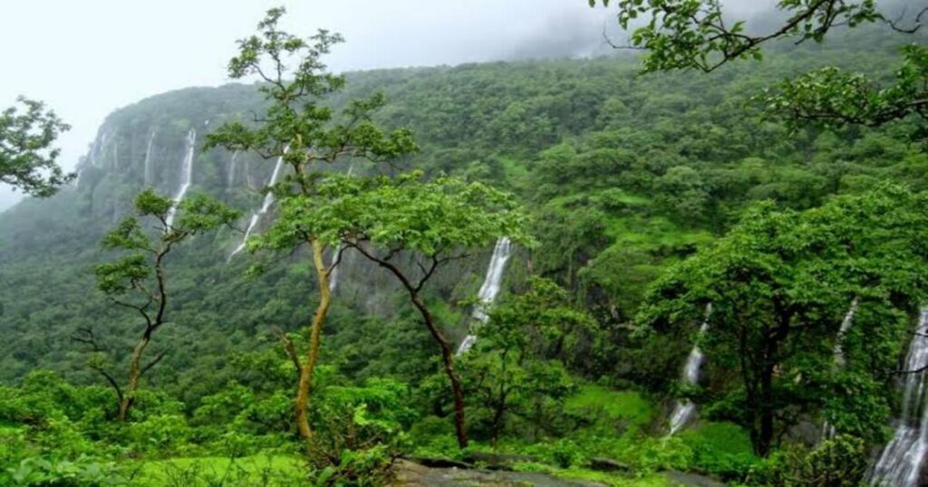 Bhimashankar Forest Trek 
