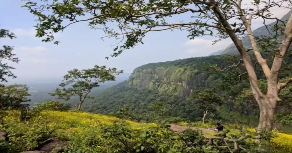 Bhimashankar Trek via Ganesh Ghat 