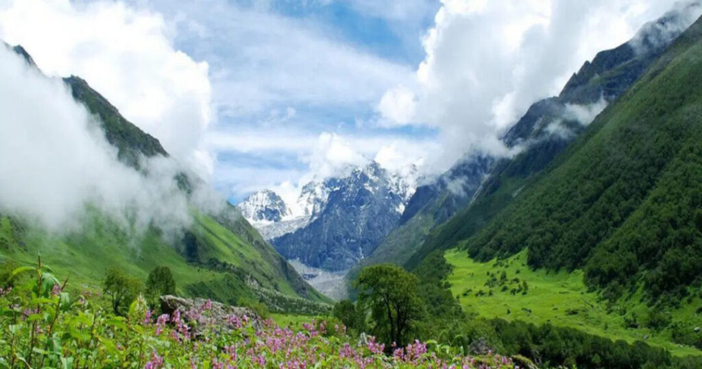 What Is the Best Time to Visit the Valley of Flowers Trek?
