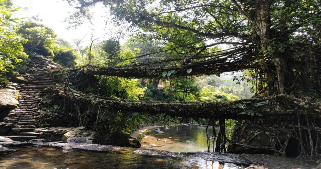 Explore the Living Root Bridges of Meghalaya